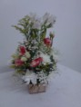 /album/arranjo/img-20121224-145228-jpg/